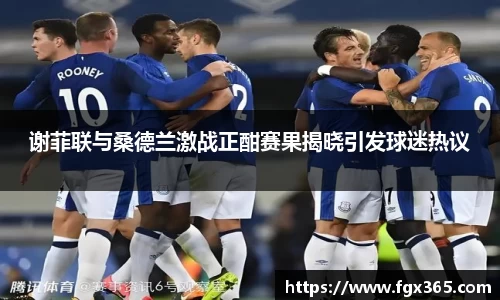 谢菲联与桑德兰激战正酣赛果揭晓引发球迷热议